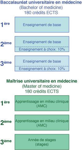 curriculum1-6actuel