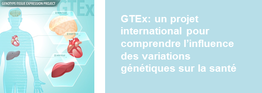 gtex