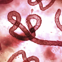 ebola_NL_web.png