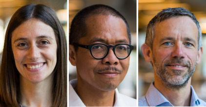 Immune 'hijacking'.jpg