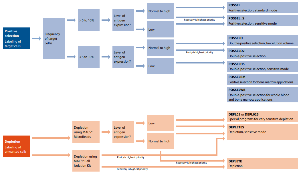 Automacs program.png