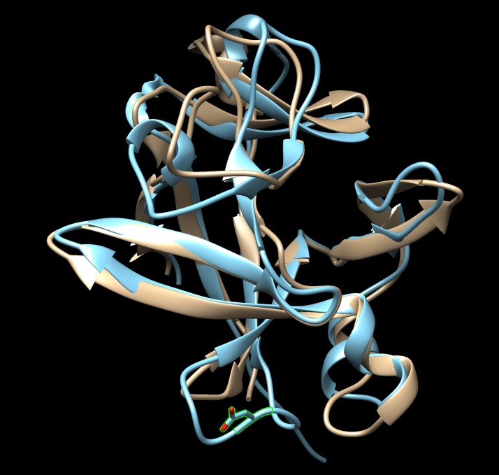 projets recherche2.jpg