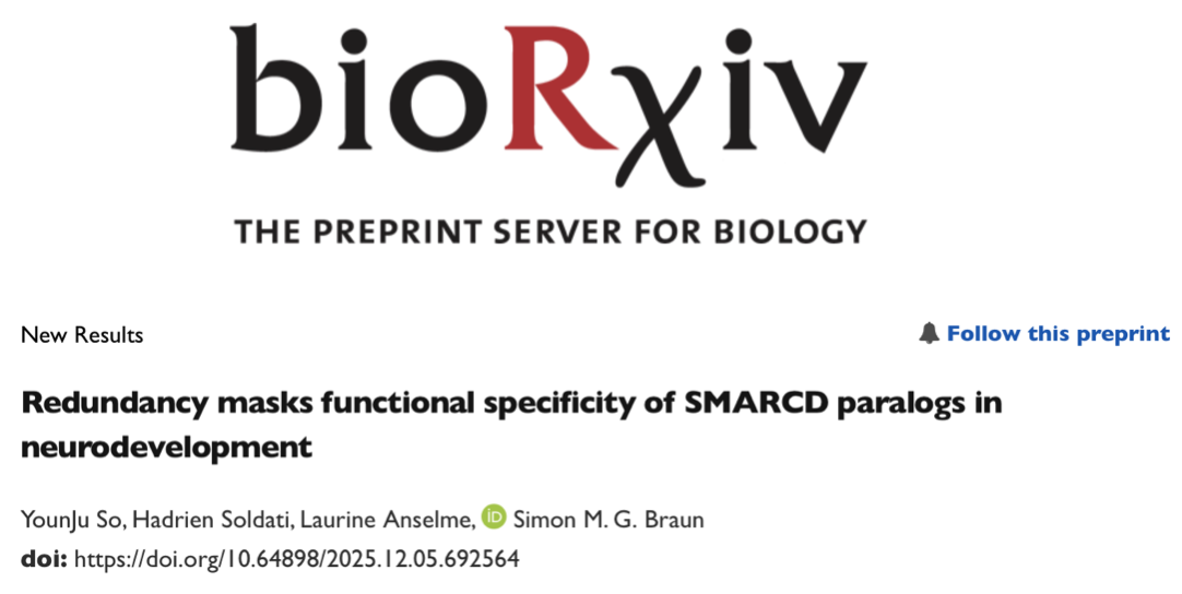 Screenshot 2025-12-16 at 11.04.00.png