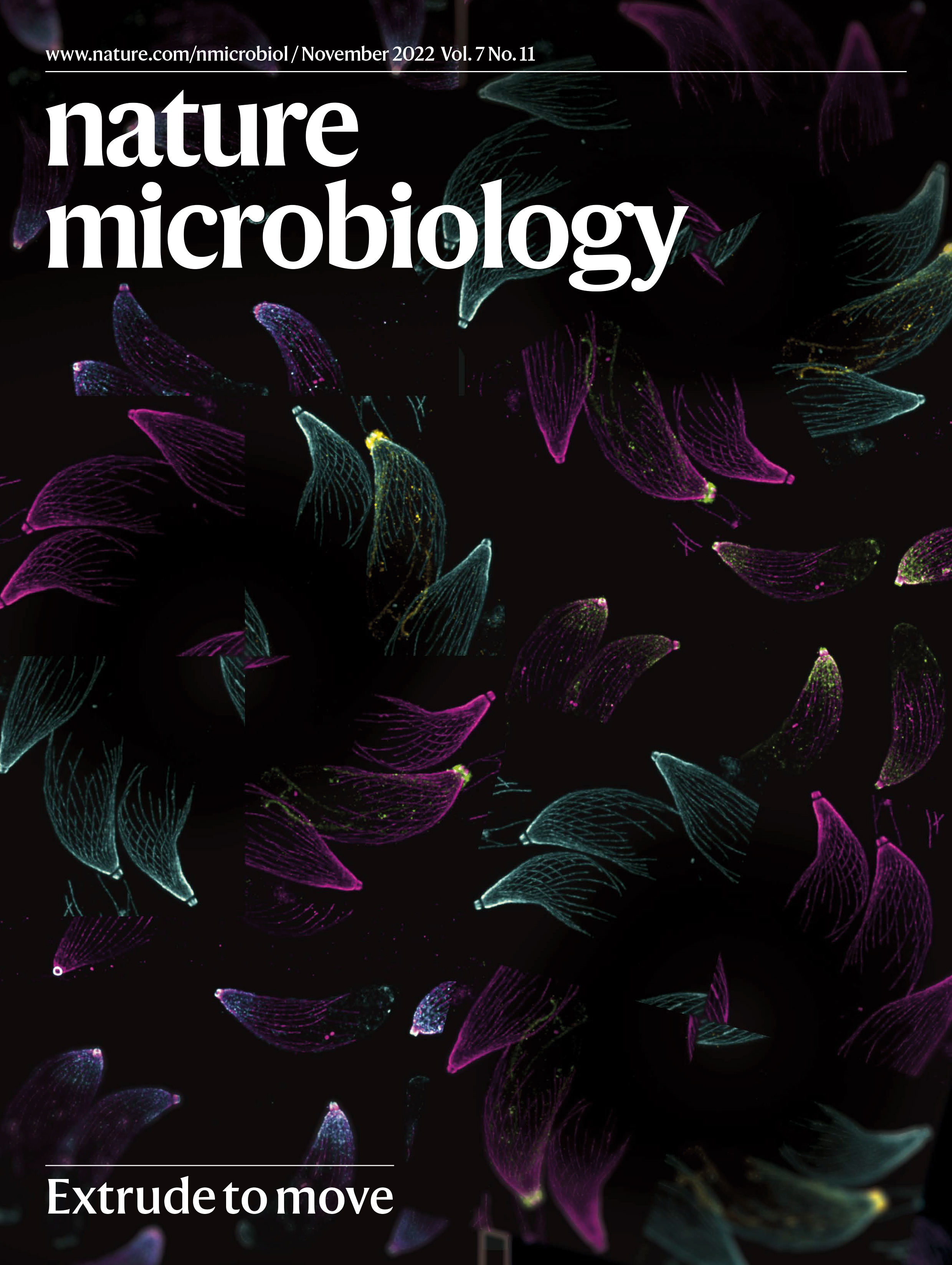 NMicro_Cover_Nov22.jpg