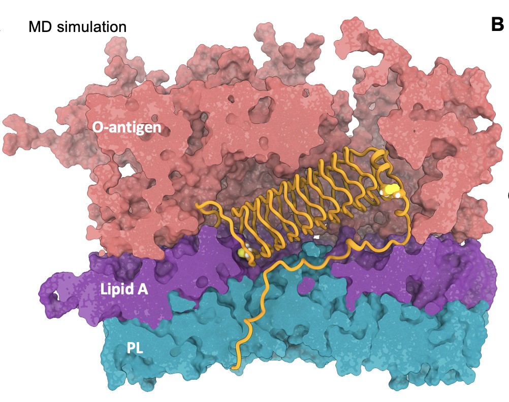 Figure 6 - Copie.jpg