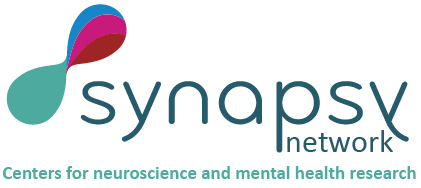 Synapsy_network.png