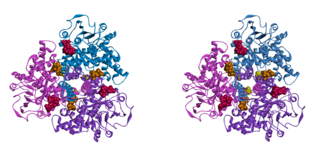 Maechler_GDH_molecular_structures.png
