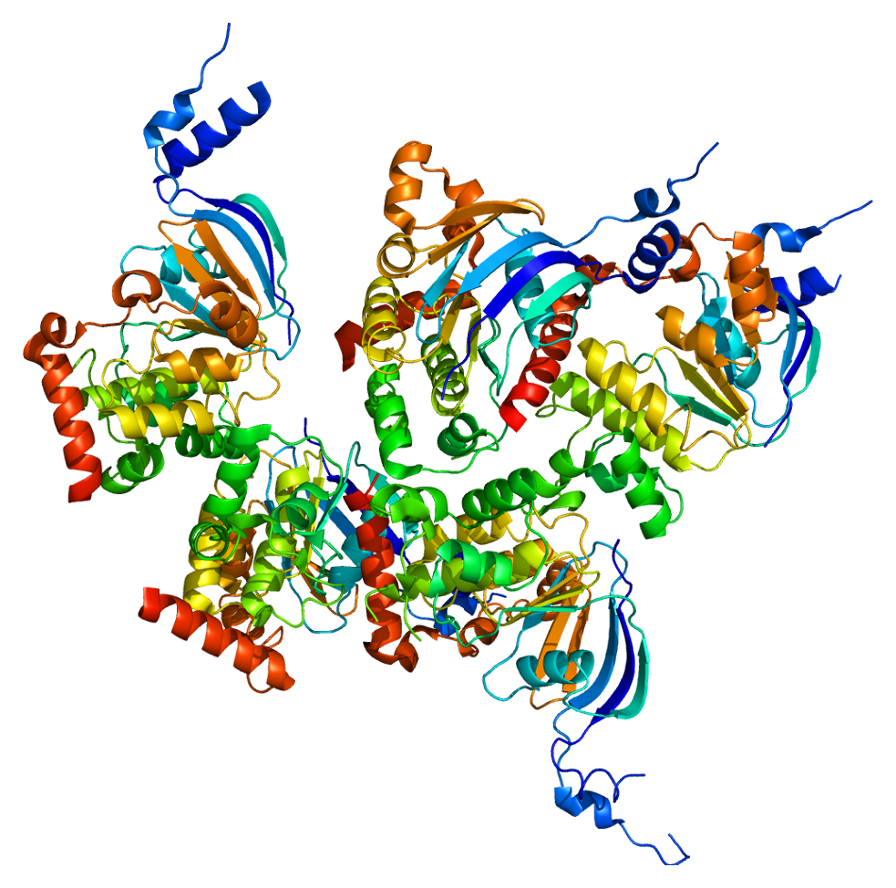 Protein_CFTR_PDB_1xmi.png