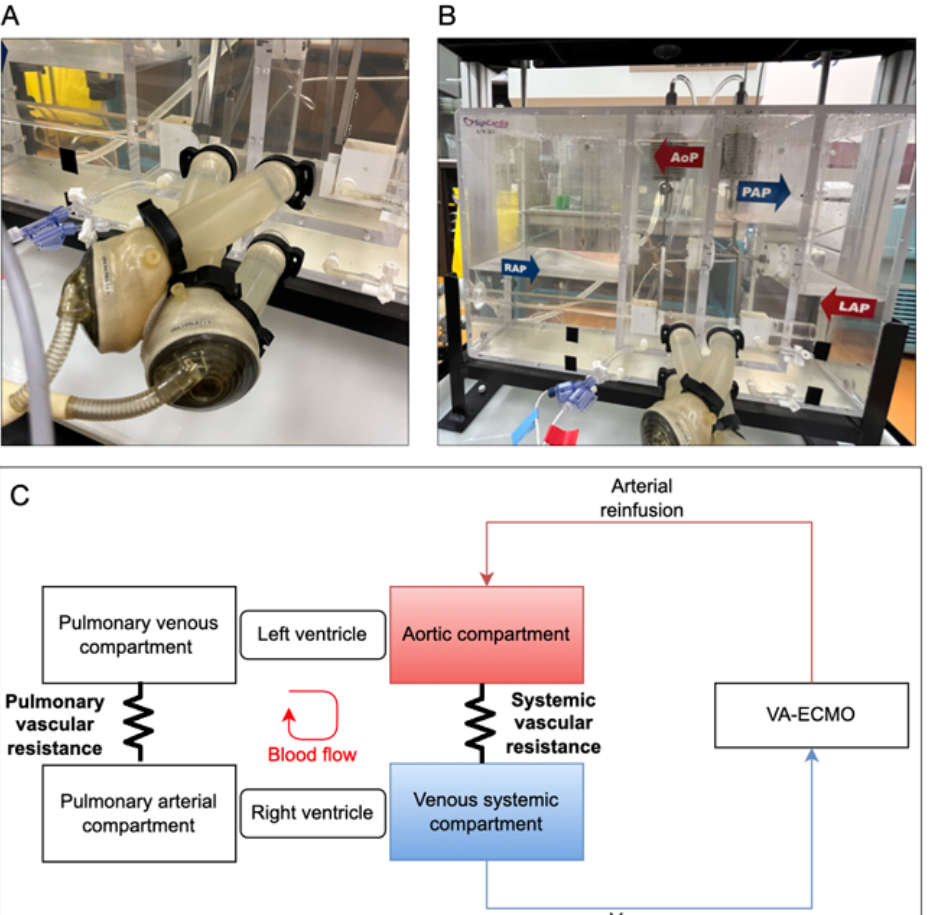 image PREM-stage.png