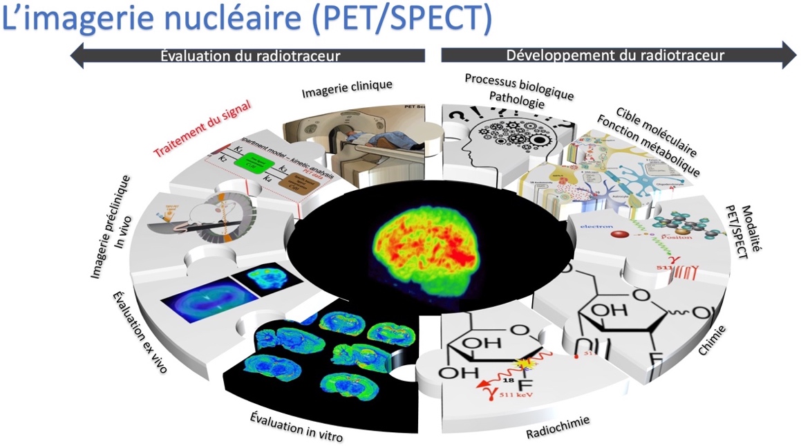 1 Figure or Pic or scheme or video