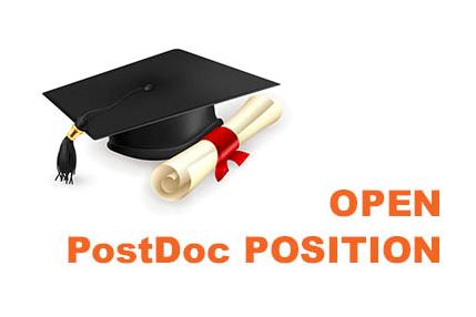 open postdoc position-web.jpg
