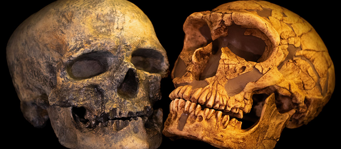 Genomy opowiadają o spotkaniu neandertalczyków i Sapiens