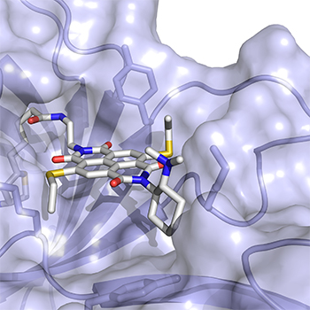 L’enzyme « anion-π»