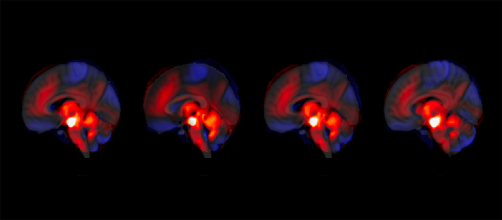 WEB_WEB_2 - Untitled slide.png