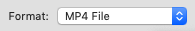 Format MP4.png