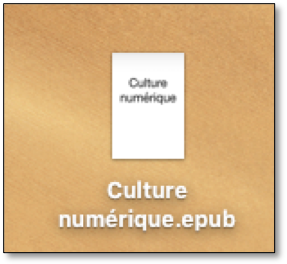 Document ePub.png