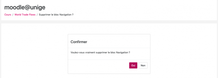 16 Confirmer supprimer le bloc HTML.png