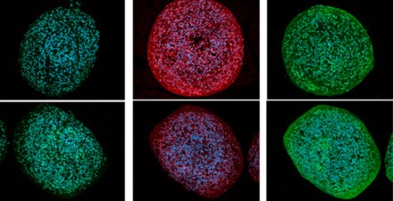 Capture d’écran 2025-08-18 101615.jpg