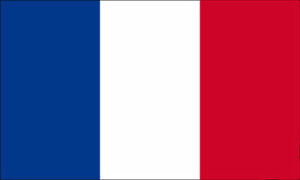 drapeau-france.jpg
