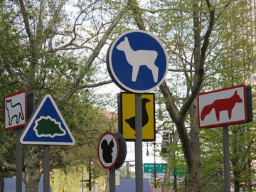 animal signs