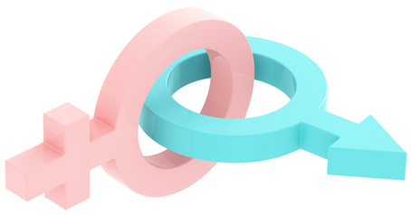 Symboles Mâle et Femelle