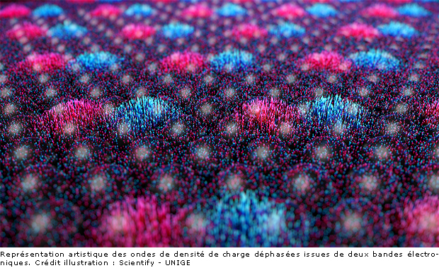 Onde_densite_charge_dephasee.png