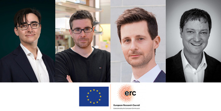 ERC_Consolidator_Grants.jpg