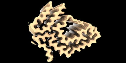 FacSciWeb_Thumbnails_Wall_(555 x 281 px) (21).jpg