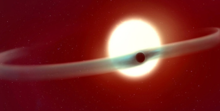 FacSciWeb_Thumbnails_Wall_(555 x 281 px) (10).jpg