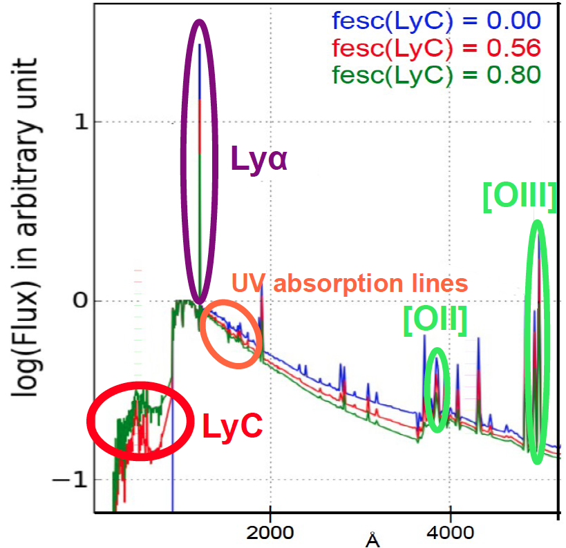 Indirect probes of LyC escape