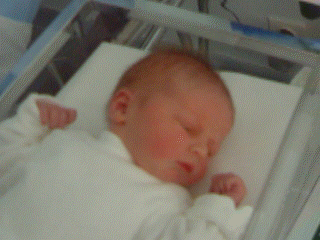 Dscf0294_liam_still.gif (43764 bytes)