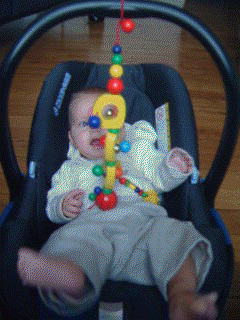 rocker_still.gif (44619 bytes)