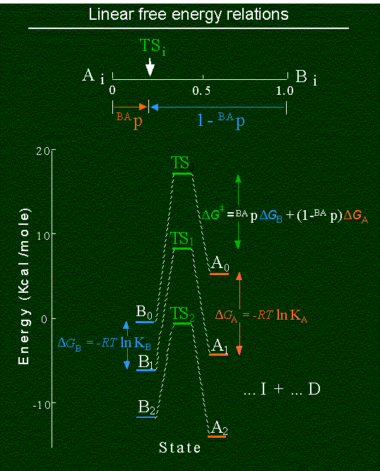 Linear free energy relations