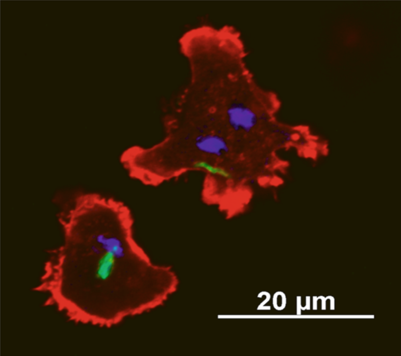 Screenshot 2020-01-06 at 19.22.54.png