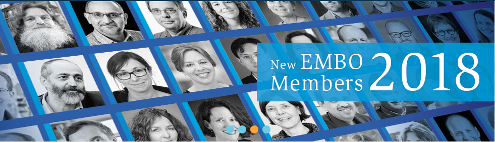 Screen Shot 2018-05-14 at 21.54.36.png