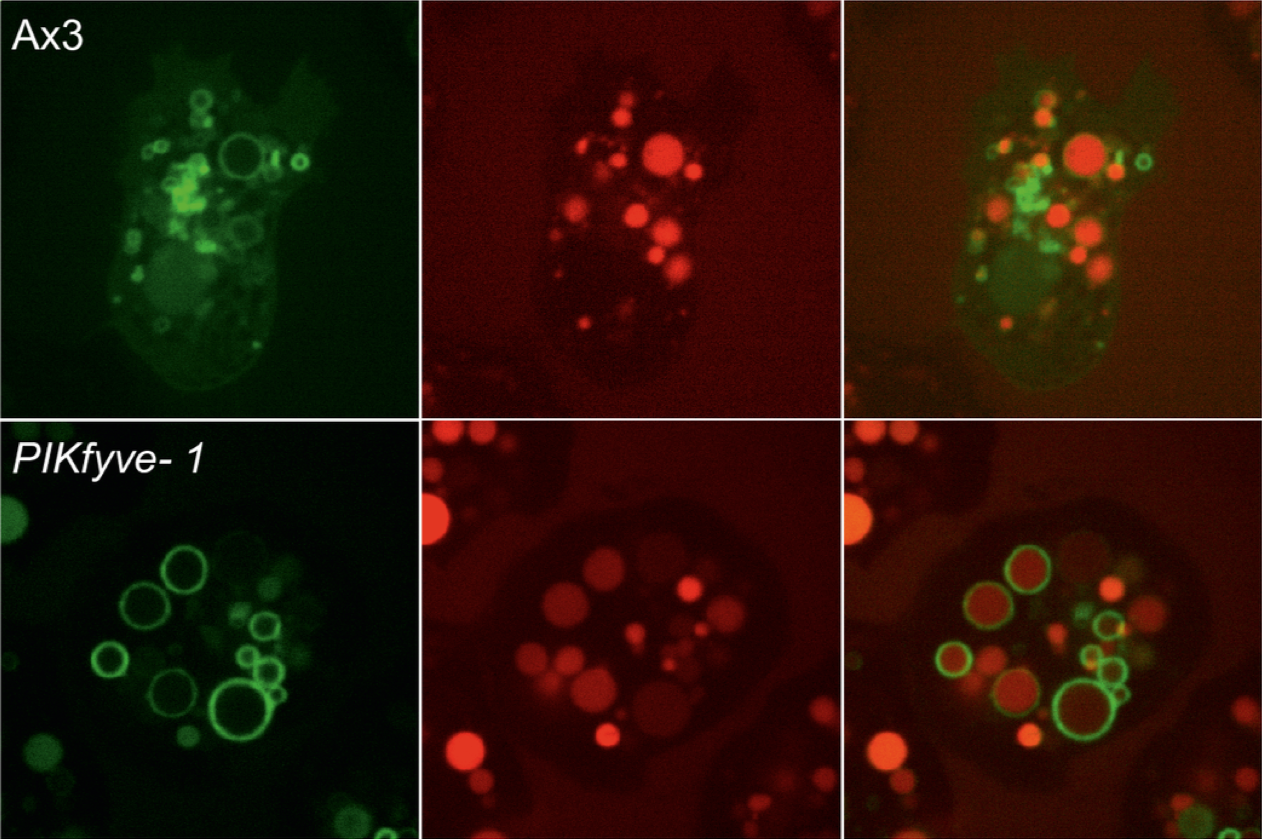 Screenshot 2019-02-08 at 18.49.01.png