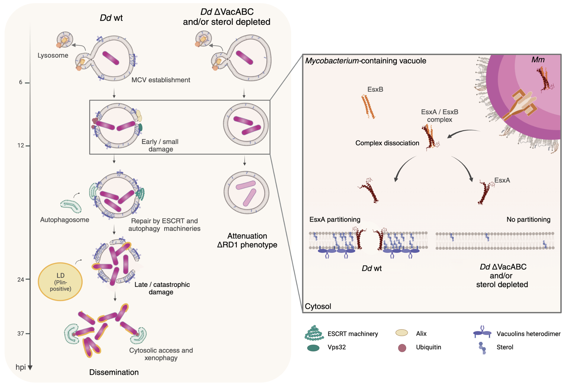 Capture d’écran 2026-02-03 à 12.07.45.png