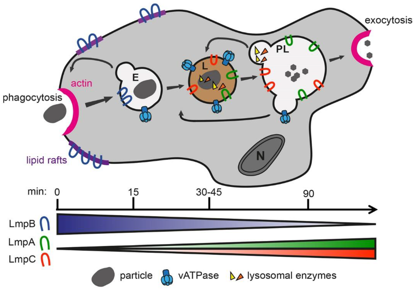 Screen Shot 2018-07-30 at 21.48.55.png