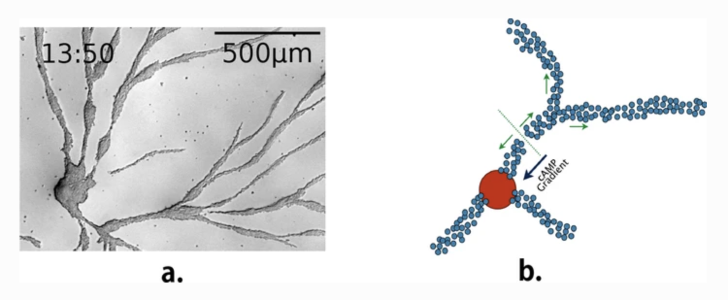 Capture d’écran 2021-01-04 à 13.37.23.png