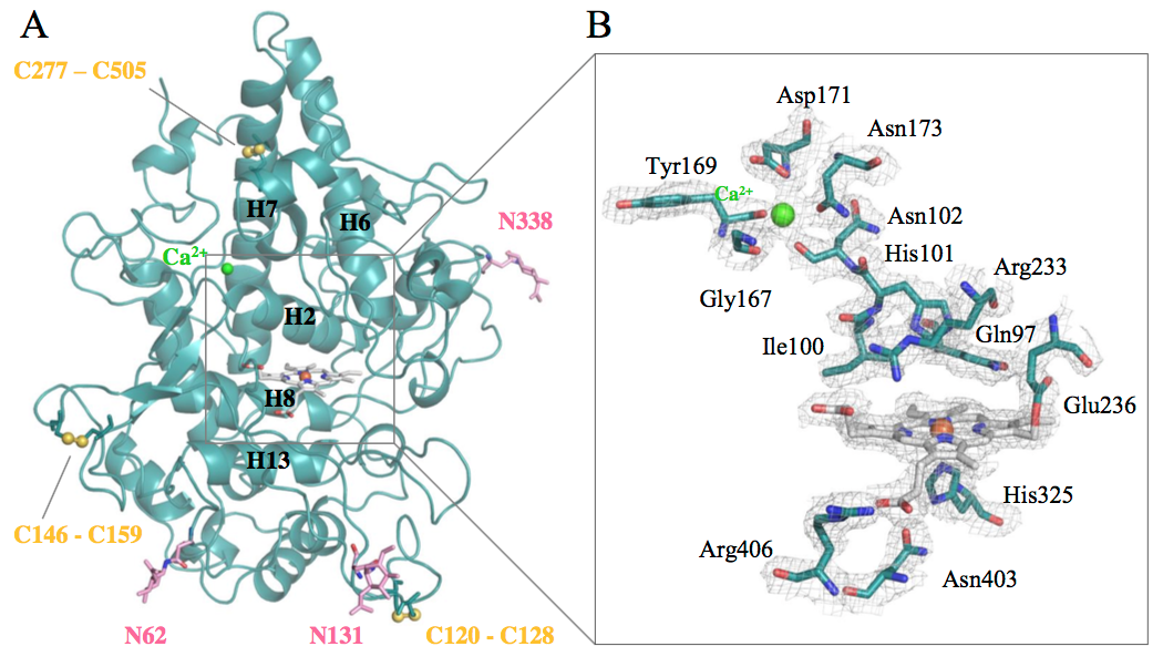 Screen Shot 2017-12-18 at 11.26.00.png