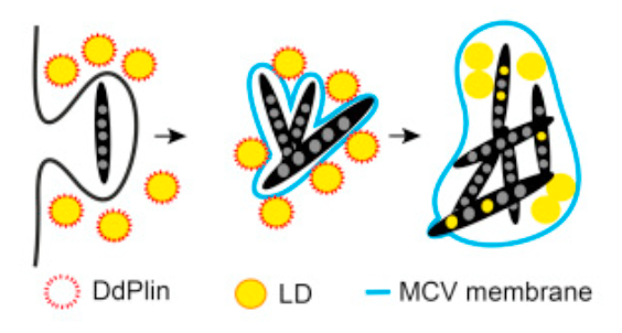 Screen Shot 2017-10-12 at 11.14.54.png