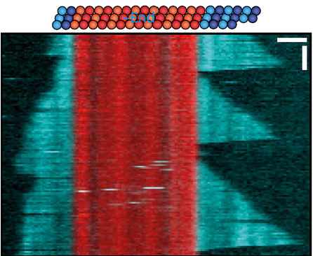 Capture d’écran 2022-10-31 212539.png