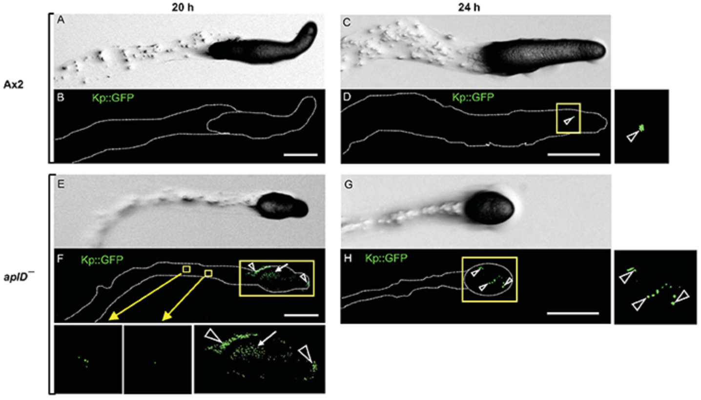 Screen Shot 2018-03-15 at 15.37.42.png