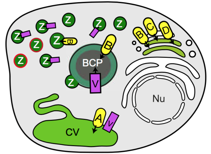 Screen Shot 2018-06-28 at 11.38.27.png