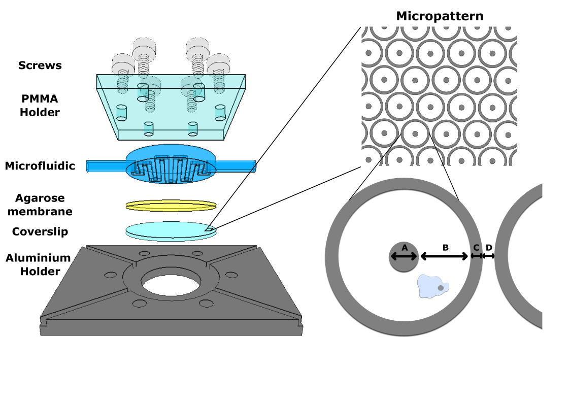 Figure 1.png