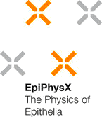 EpiPhysX.png