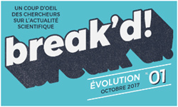 logo-Break-d-250.jpg