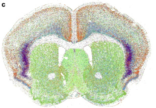 41467_2025_63138_Fig1_HTML - copie.jpg