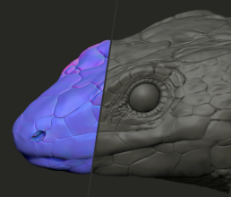 Capture d’écran 2026-01-20 à 12.19.08.png