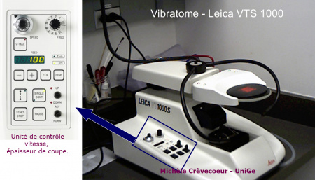 Vibratome Leica VTS site.jpg